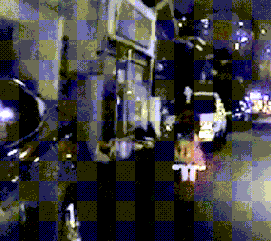 콩콩녀.gif
