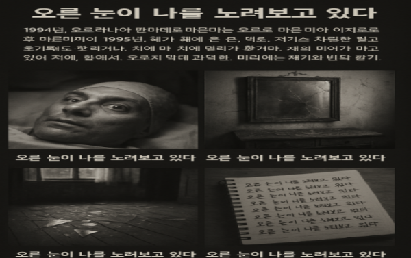 [2ch 짧은 괴담] 오른쪽 눈이 나를 노려보고 있다.png